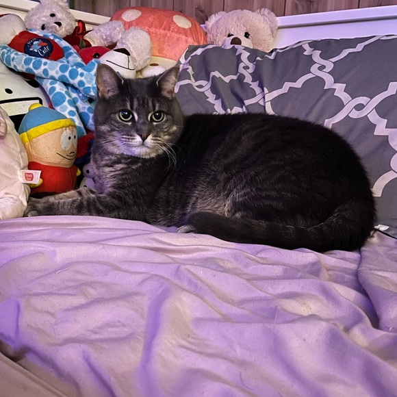 LIVE UPDATES 💕 - Picture 6 of 7